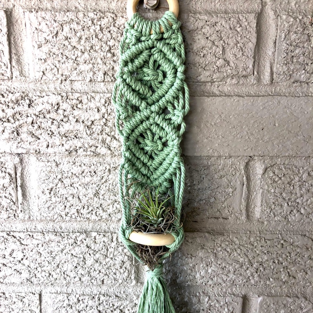 Hand-crafted Macrame Wall Hanging with Air Plant